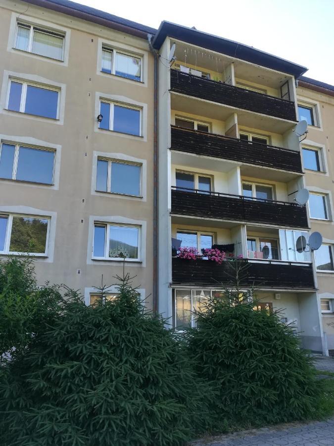 Apartman 21 Apartment Loucna nad Desnou Exterior photo